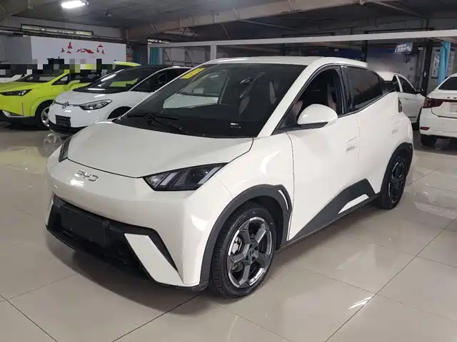 2024 BYD Seagull