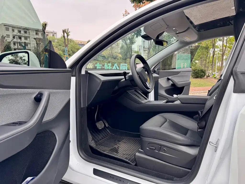 Tesla Model Y — миниатюра 10
