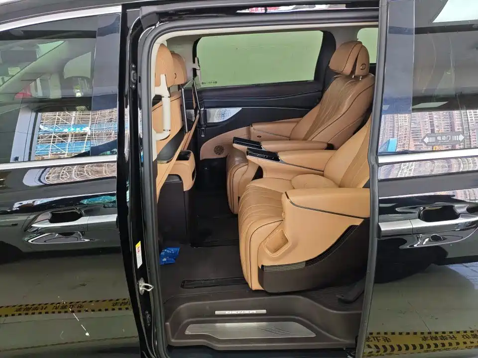 Denza Denza D9 — миниатюра 4