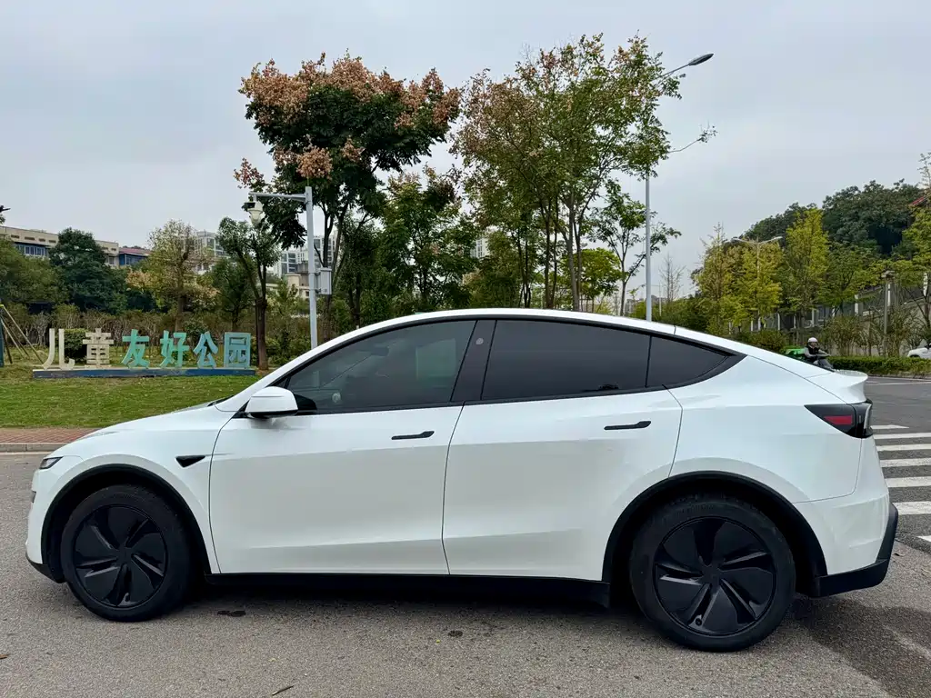 Tesla Model Y — миниатюра 17