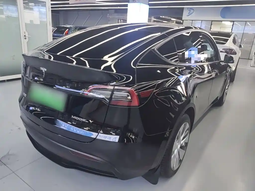 Tesla Model Y — миниатюра 7