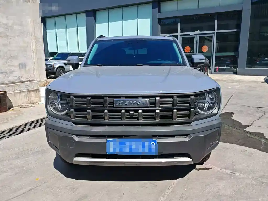 Haval Cool Dog — миниатюра 2