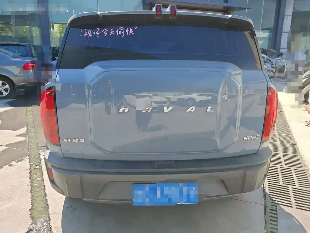 Haval Cool Dog — миниатюра 9