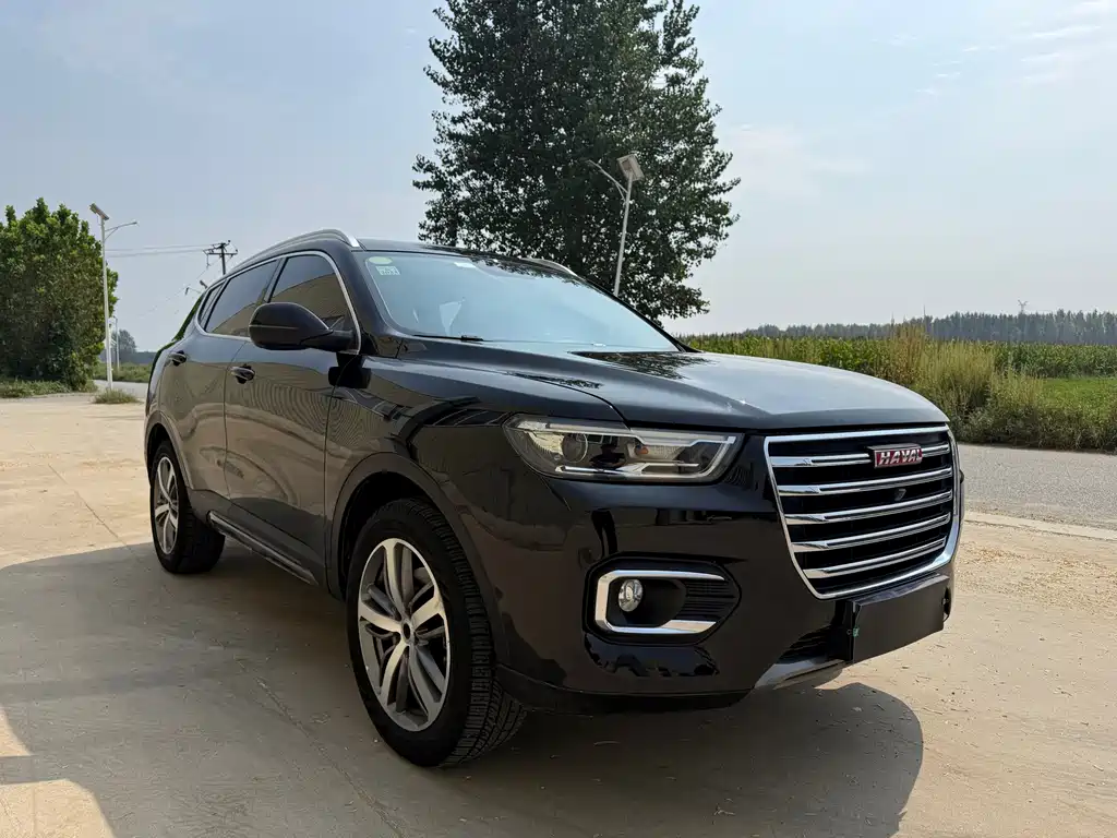 Haval H6 — миниатюра 3