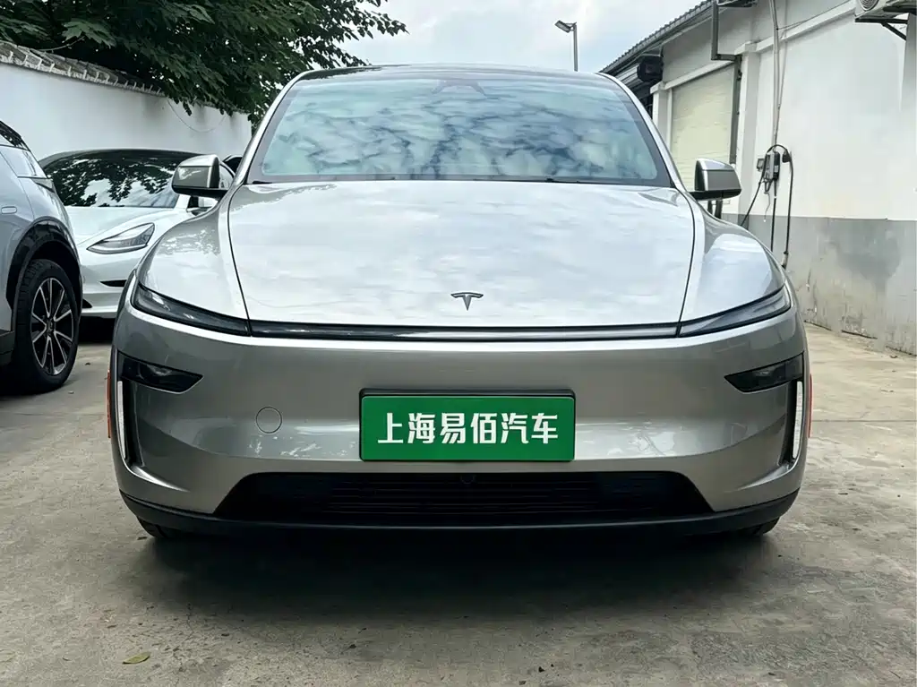 Tesla Model Y L — миниатюра 2