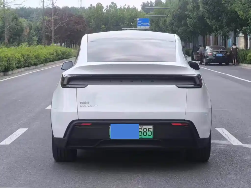 Tesla Model Y — миниатюра 6