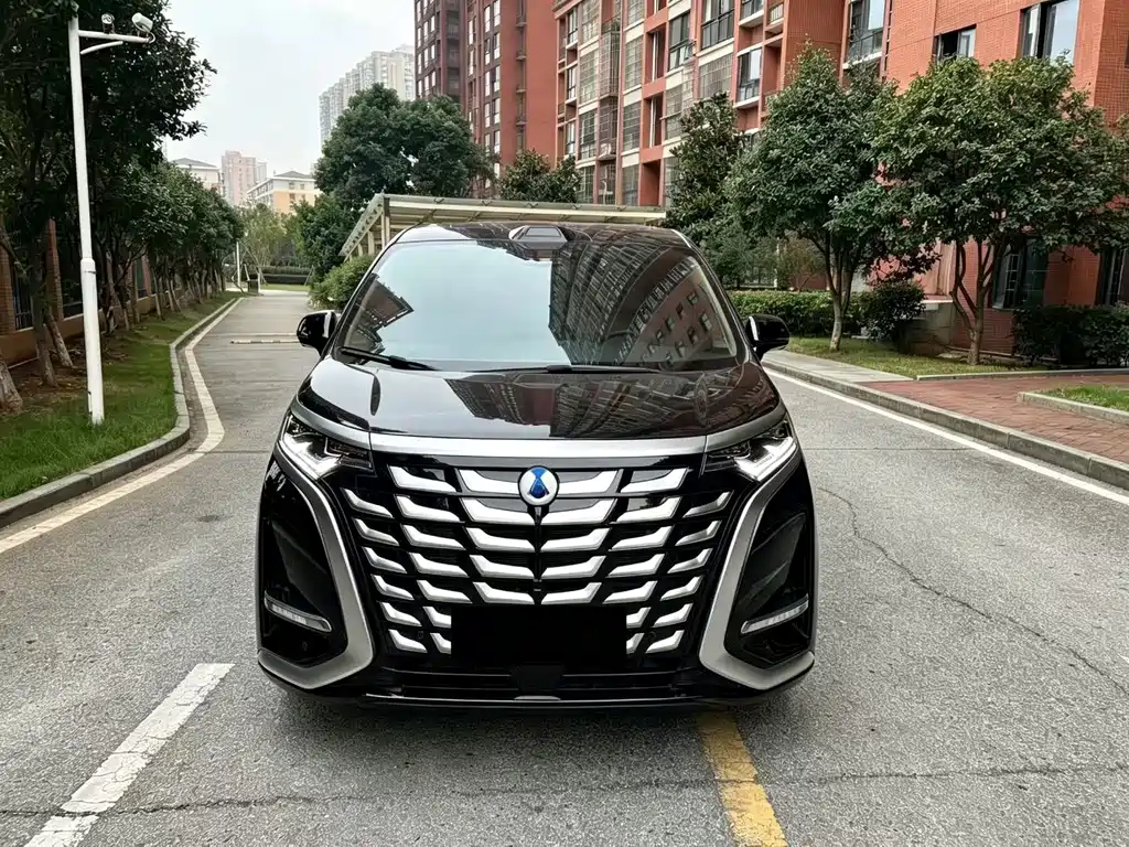 Denza Denza D9 — миниатюра 2