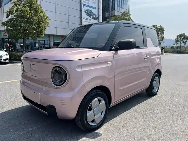 GEELY GALAXY PANDA 2024