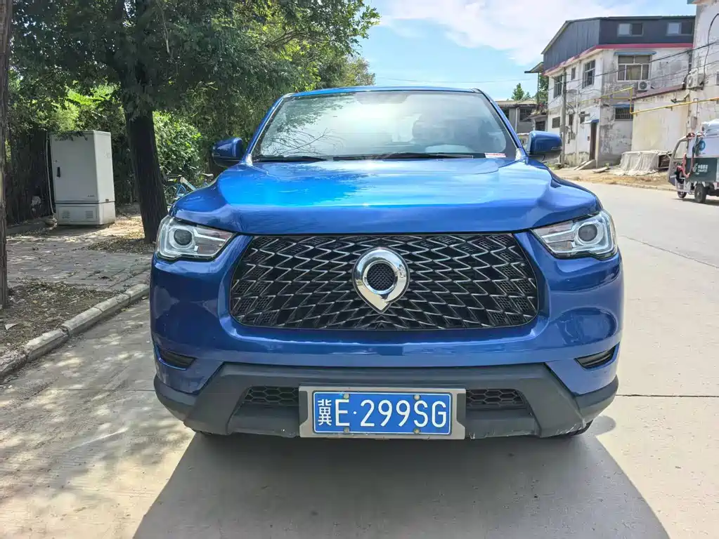 Great Wall Pao — миниатюра 2