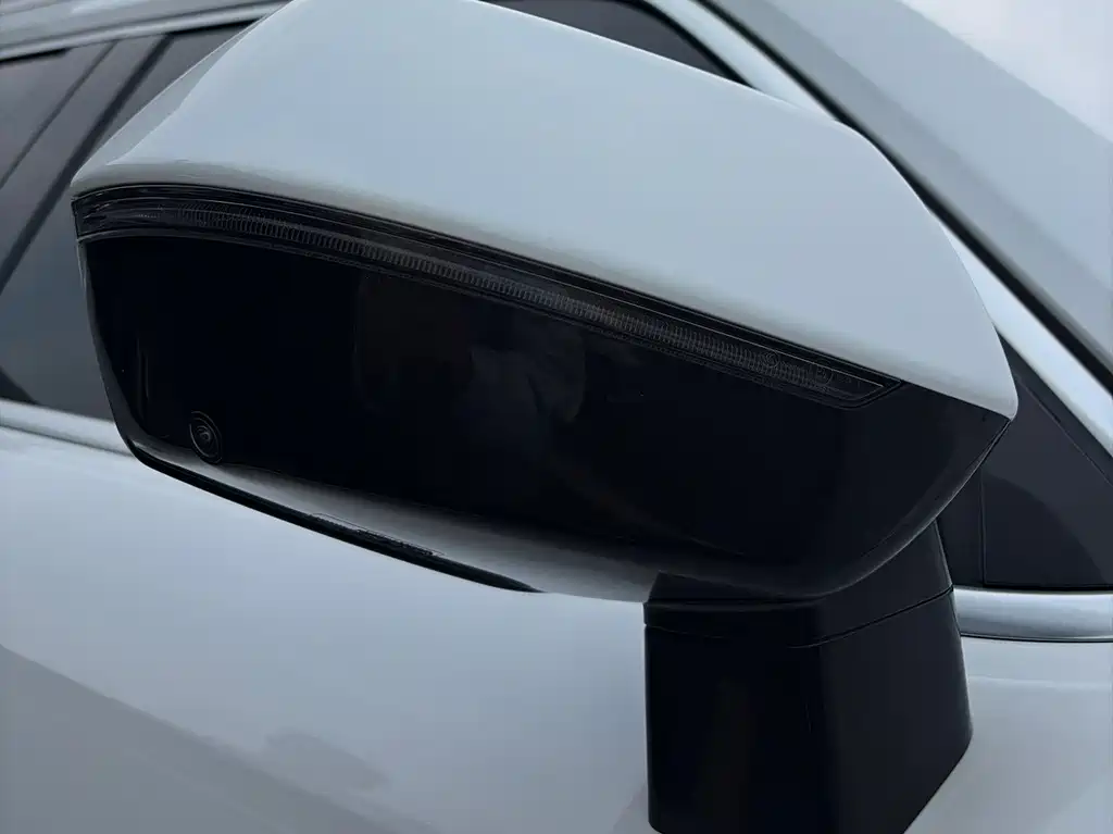 Haval Big Dog PLUS — миниатюра 5
