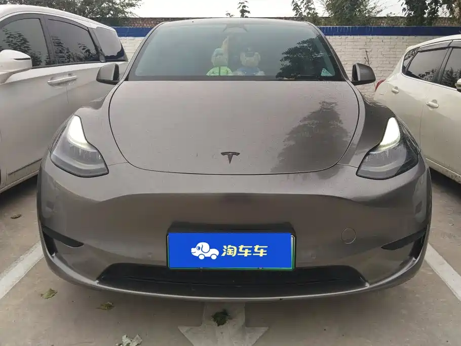 Tesla Model Y — миниатюра 2
