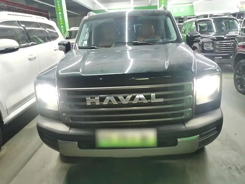 HAVAL  RAPTORS NEW ENERGY