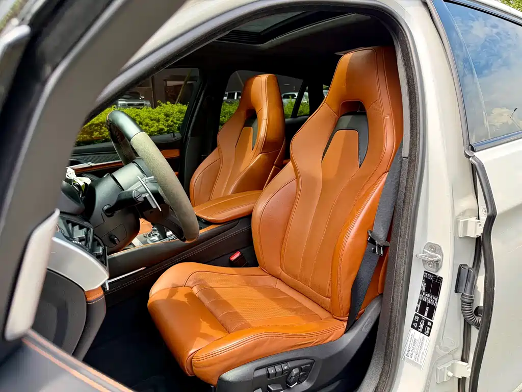 BMW X6 M X6 M, фото 15
