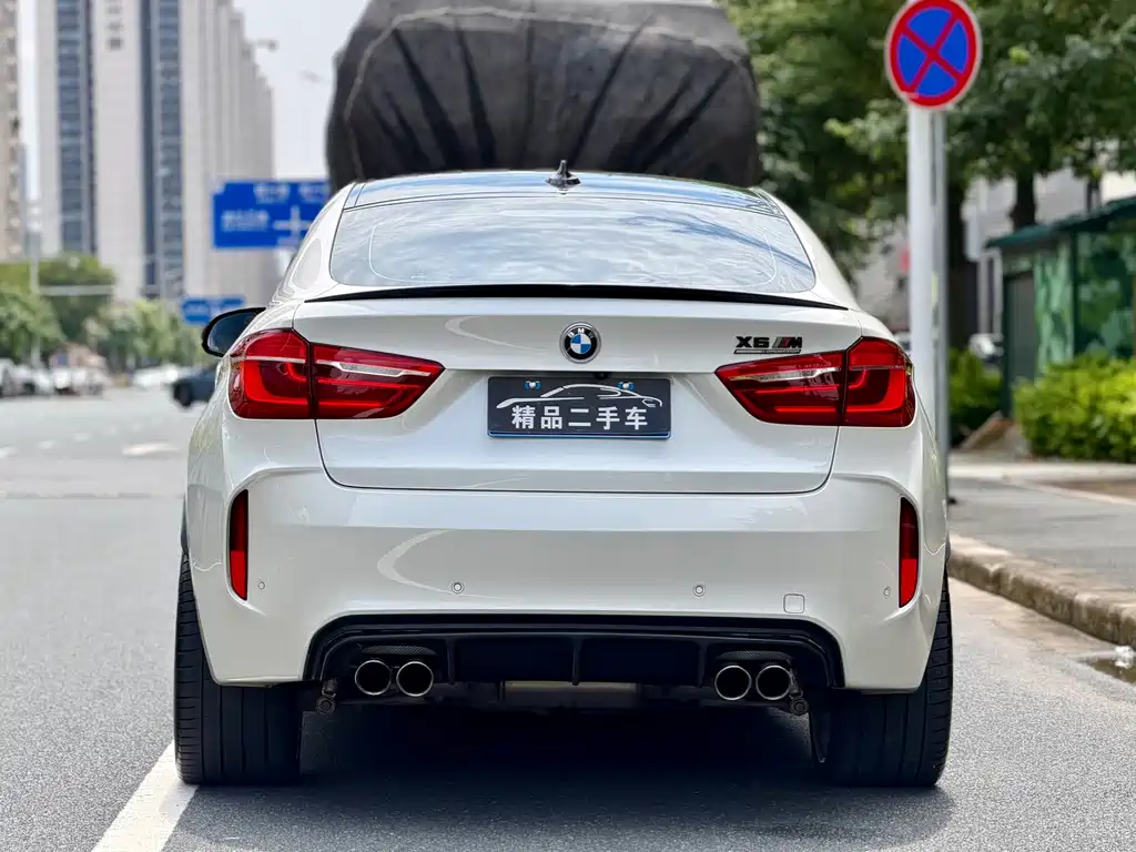 BMW X6 M X6 M, фото 4