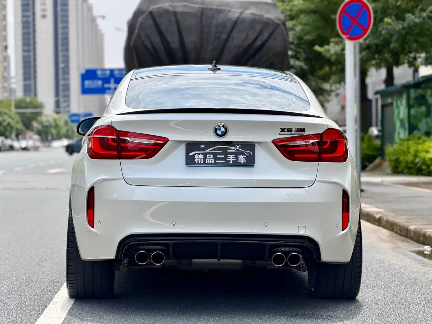 BMW X6 M