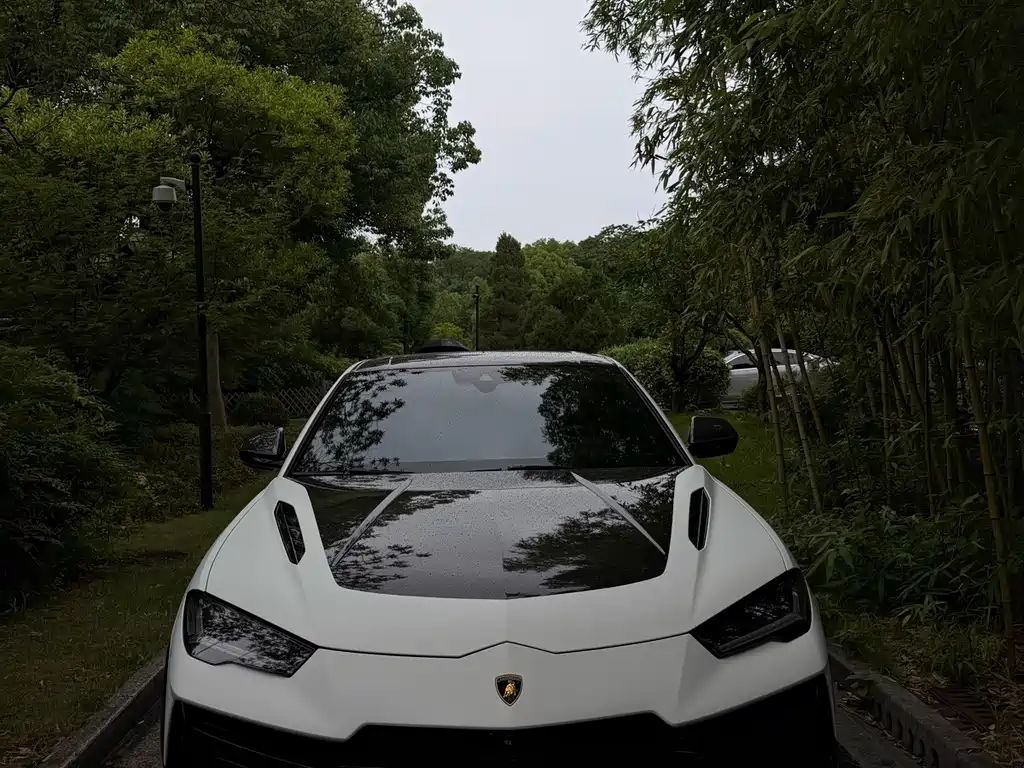 Lamborghini Urus — миниатюра 2