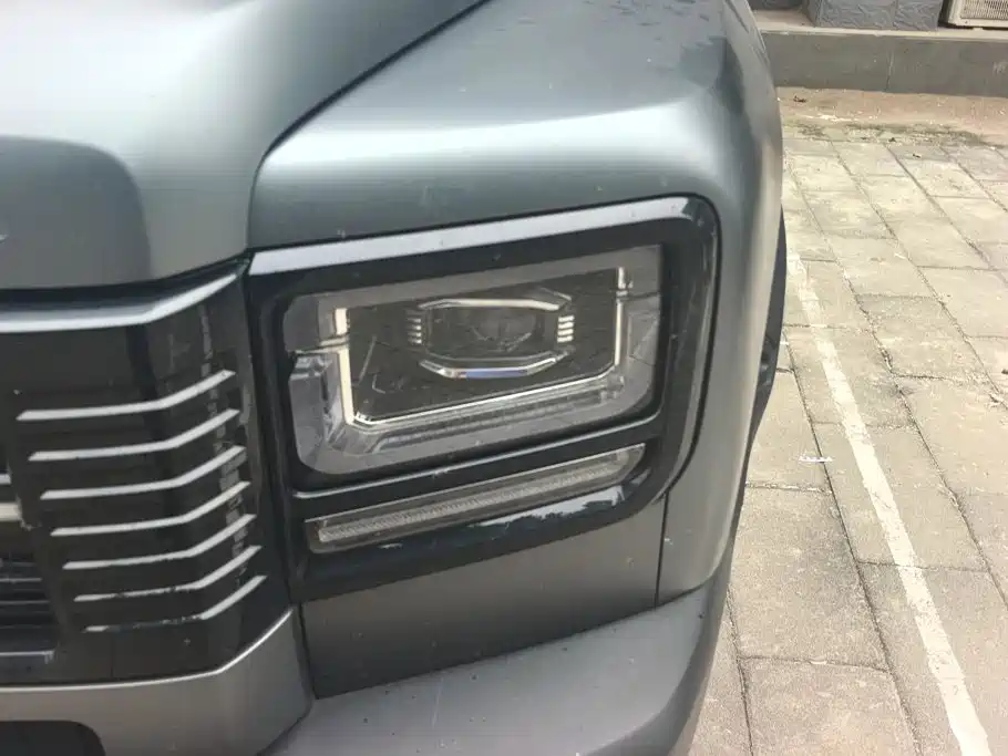 Haval Menglong New Energy — миниатюра 5