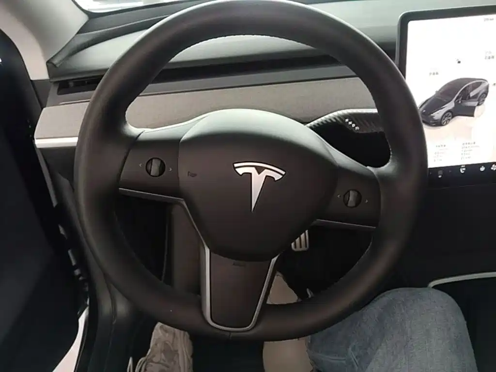 Tesla Model Y — миниатюра 11