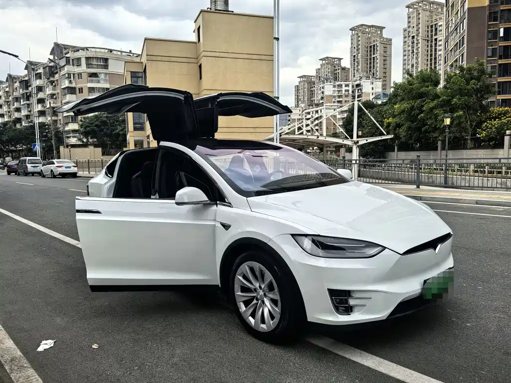Tesla Model X 2017 Model X 100D