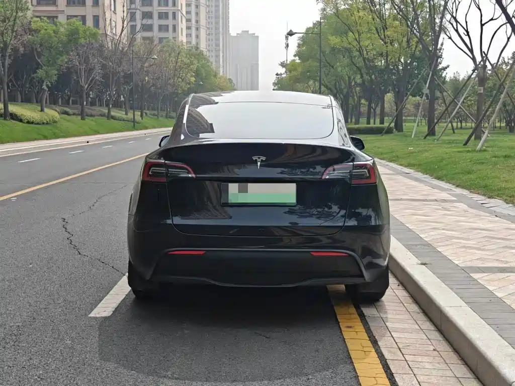 Tesla Model Y — миниатюра 6