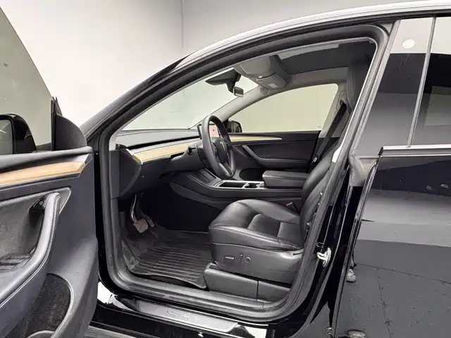 Tesla Model Y — миниатюра 13