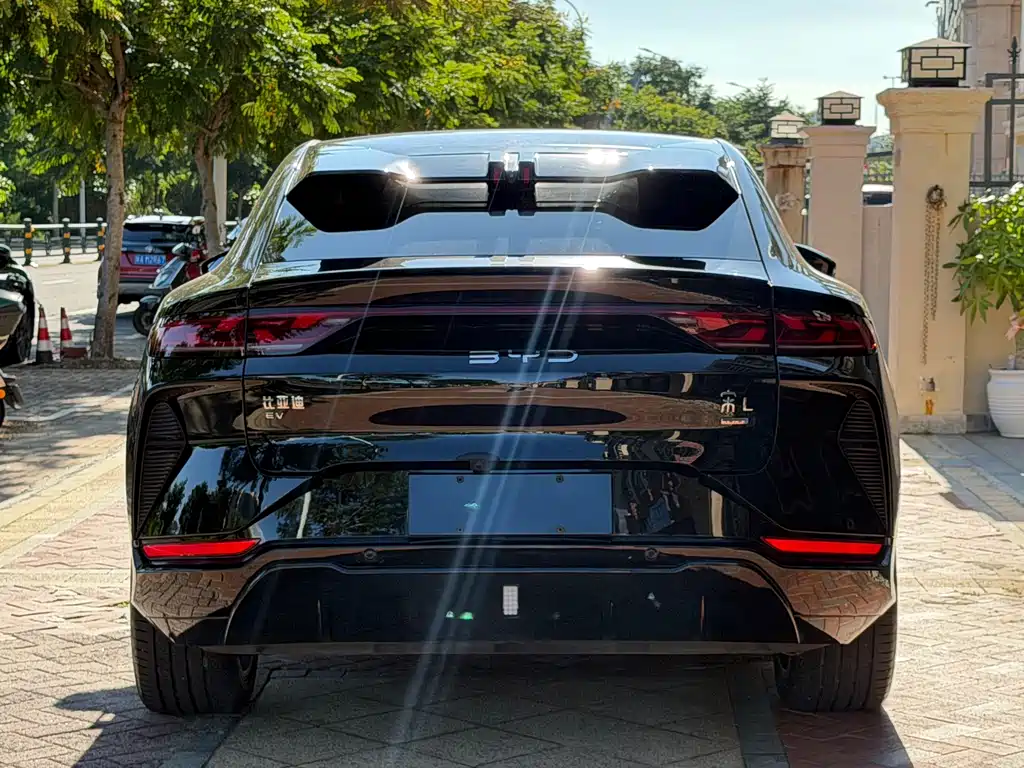 BYD L EV — миниатюра 8