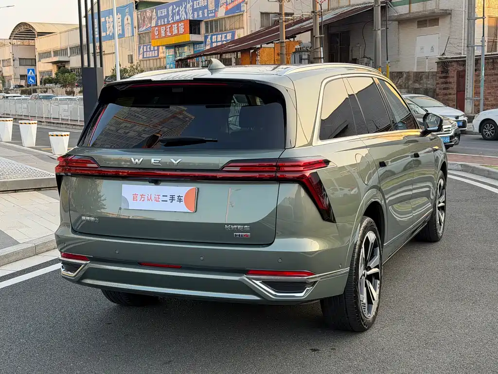 WEI PAI WEI BRAND BLUE MOUNTAIN