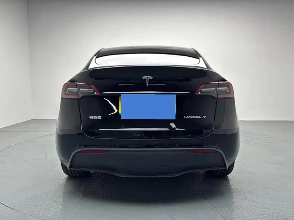 Tesla Model Y — миниатюра 8