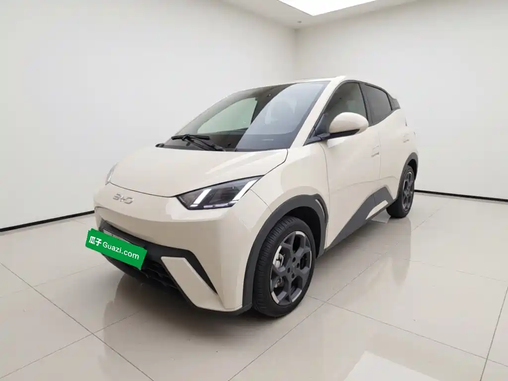 BYD Seagull 2024 305km Freedom