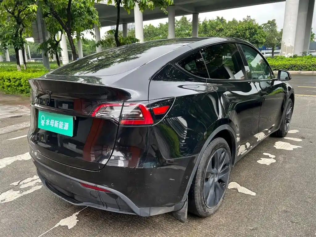 Tesla Model Y — миниатюра 13