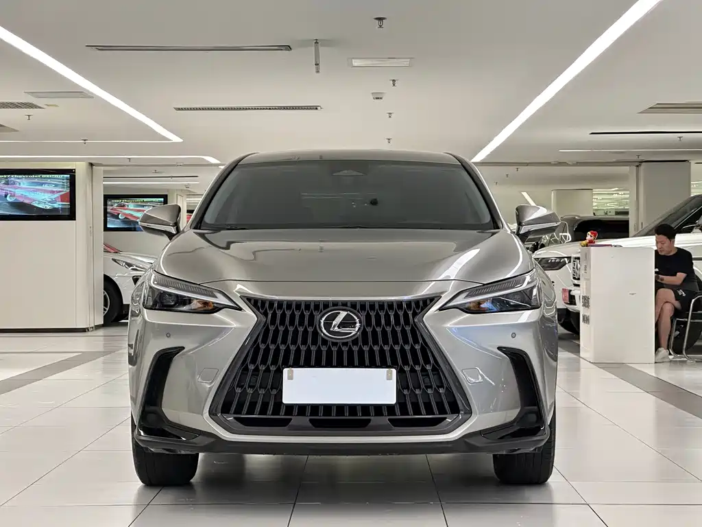 Lexus NX — миниатюра 2