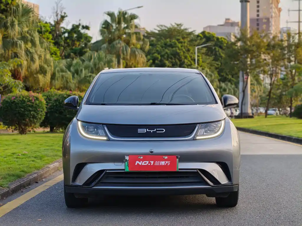 BYD Dolphin — миниатюра 3