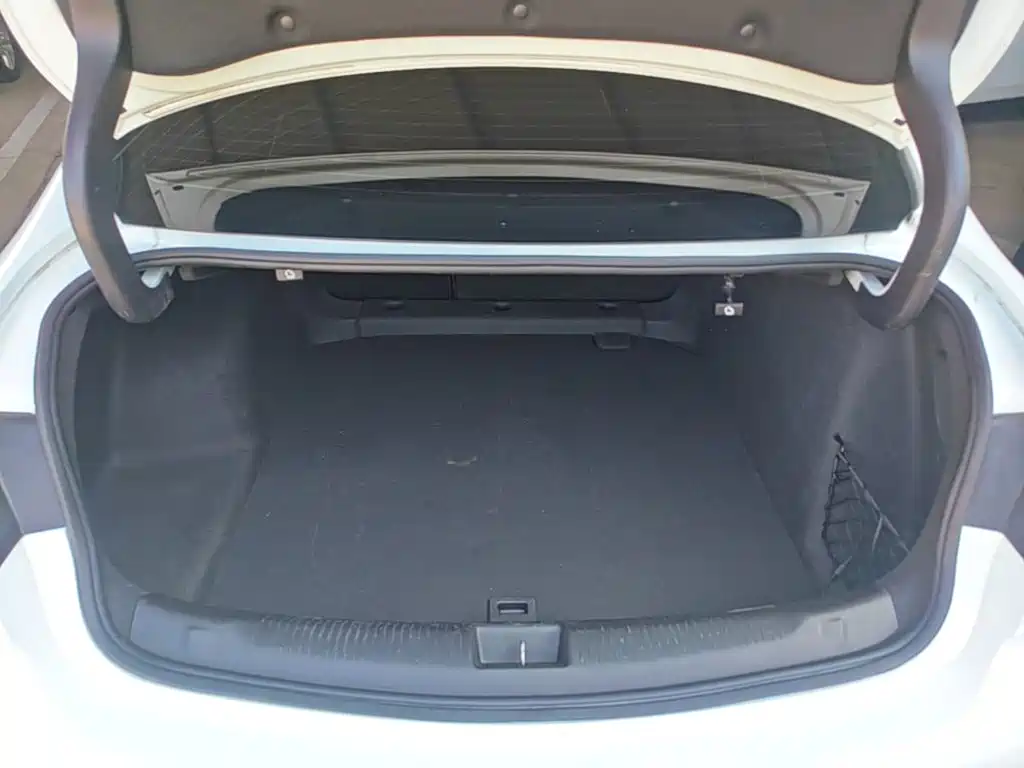 Buick Regal — миниатюра 19