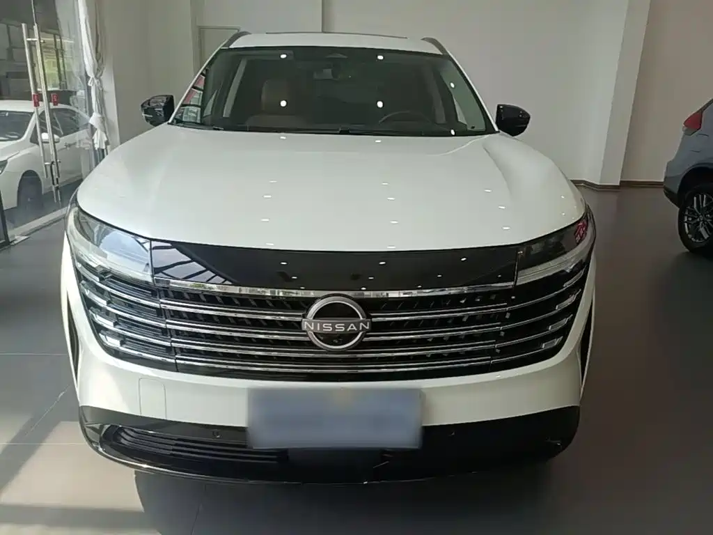 Nissan Teramont — миниатюра 3