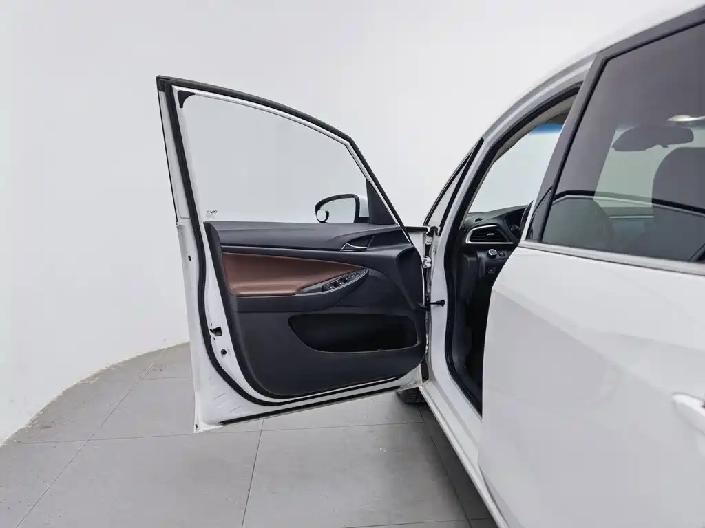 Buick GL6 — миниатюра 8