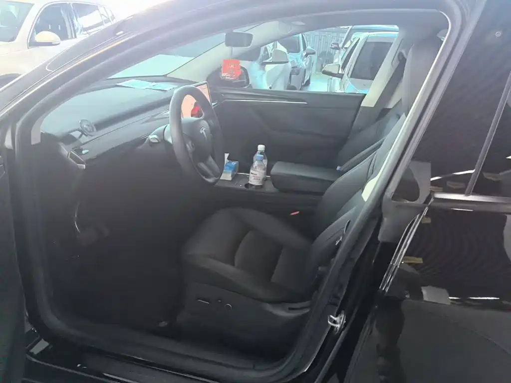 Tesla Model Y — миниатюра 15