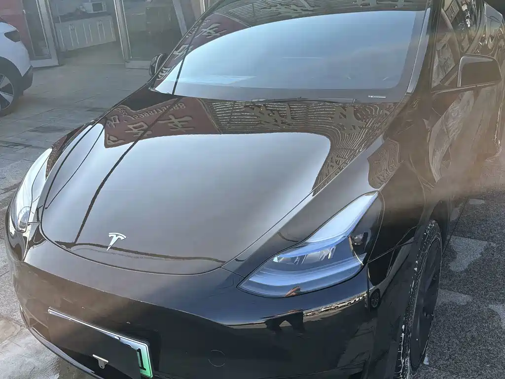 Tesla Model Y — миниатюра 5