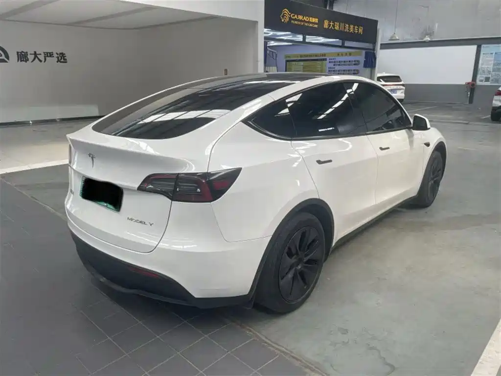 Tesla Model Y — миниатюра 4