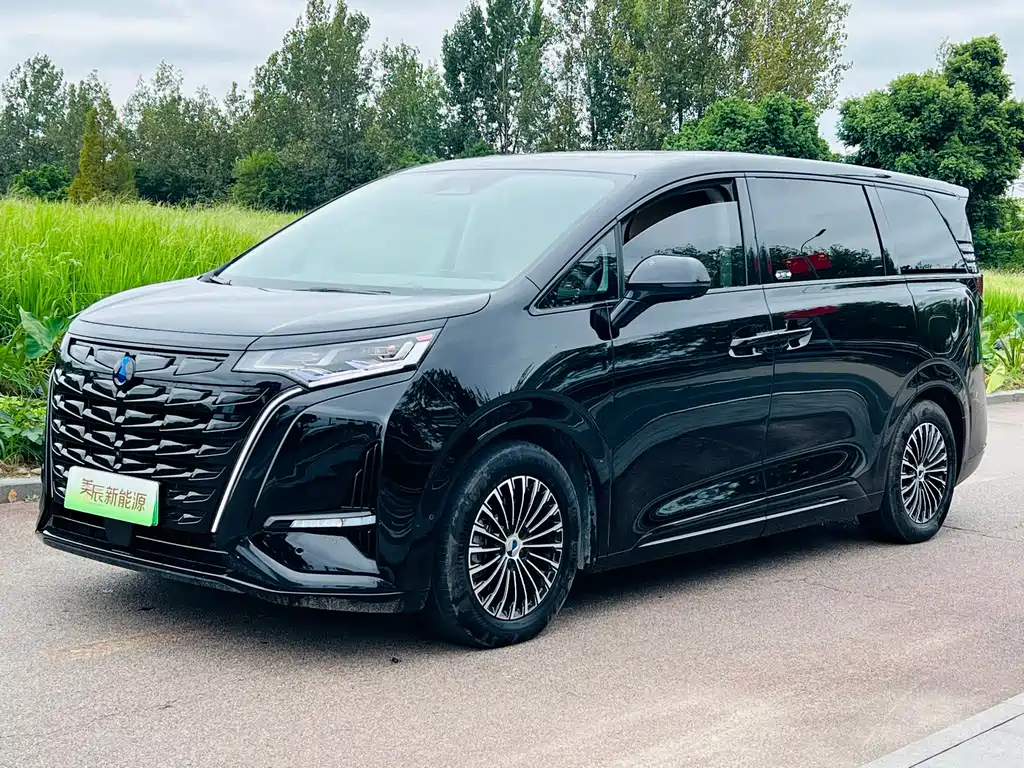 Denza Denza D9