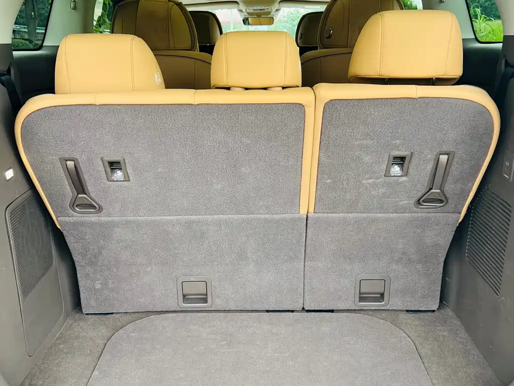 Denza Denza D9 — миниатюра 15