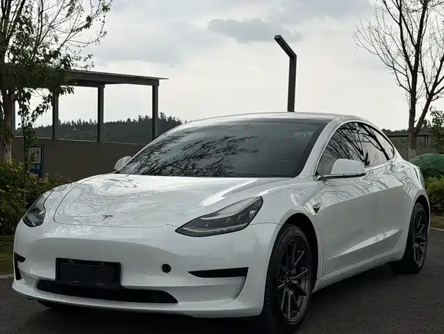 TESLA MODEL 3 2020