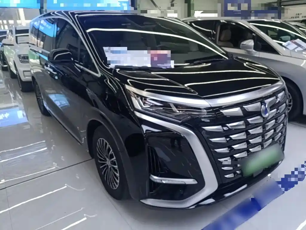 Denza Denza D9 — миниатюра 4