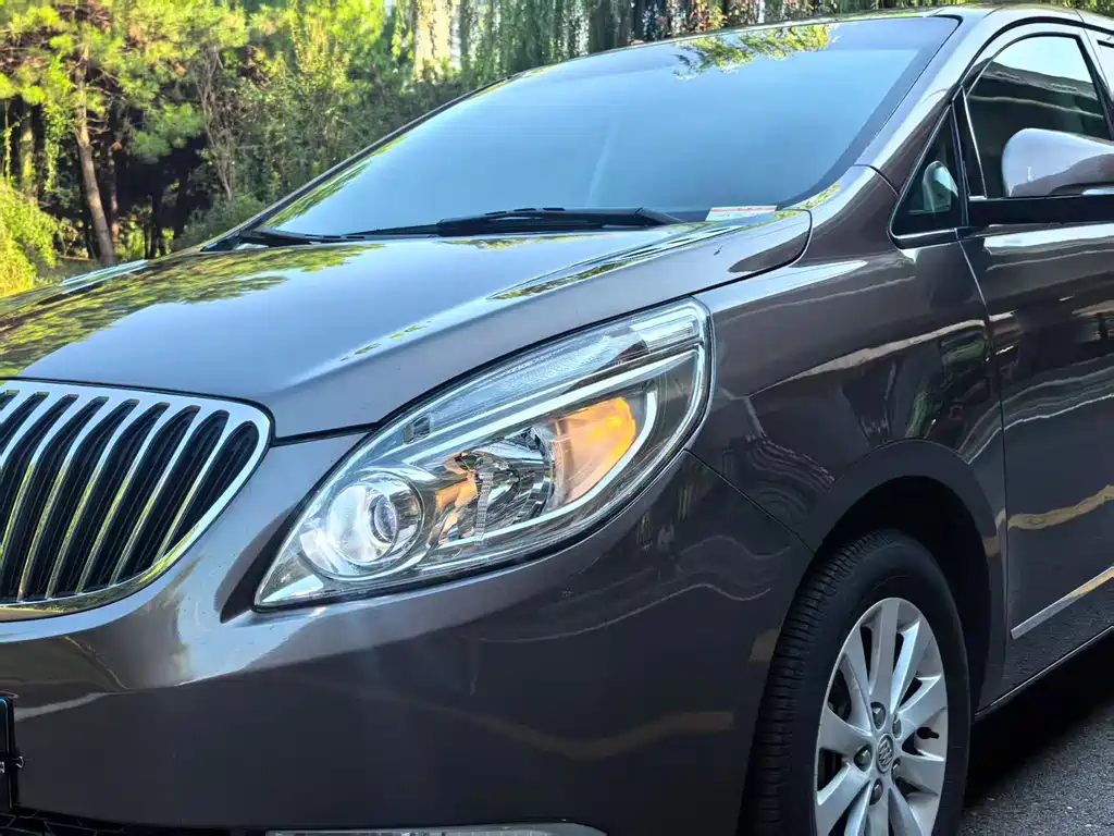 Buick GL8 — миниатюра 3