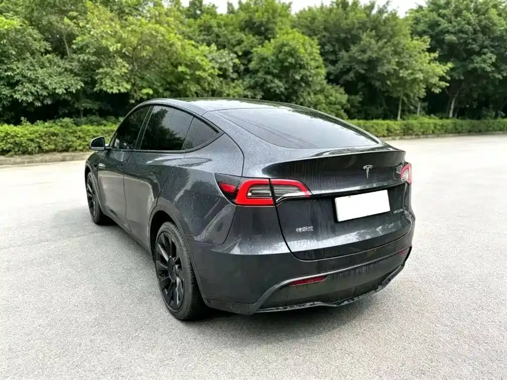 Tesla Model Y — миниатюра 9
