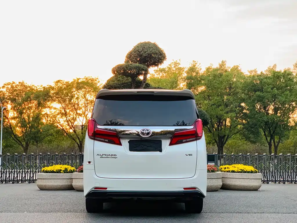 Toyota Alphard — миниатюра 24