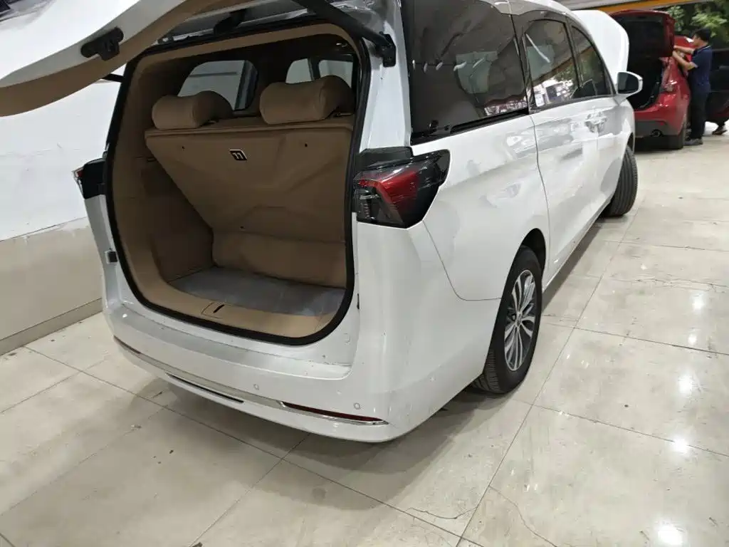 Buick GL8 — миниатюра 8