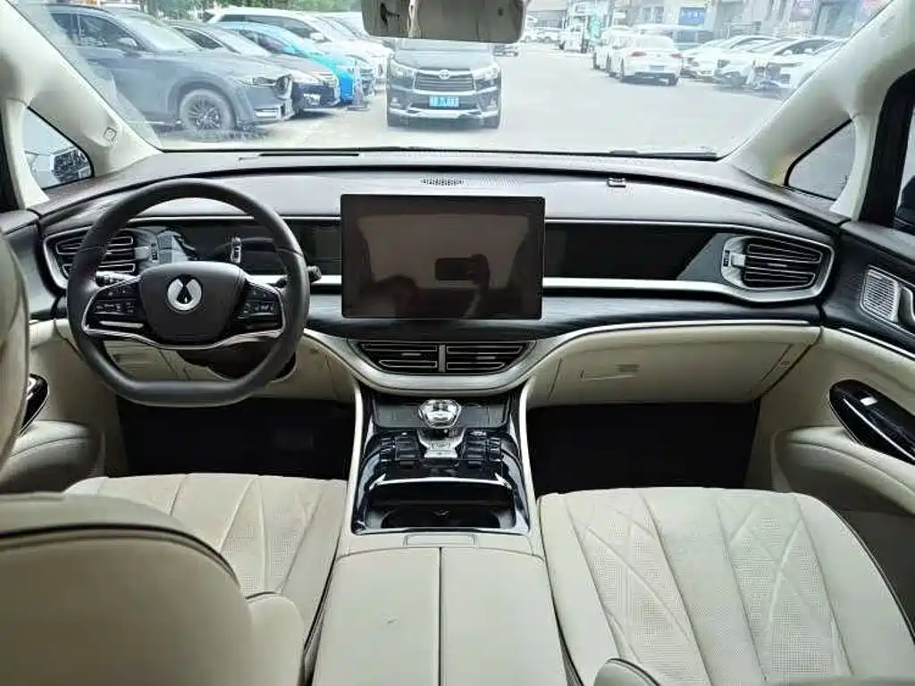 Denza Denza D9 — миниатюра 8