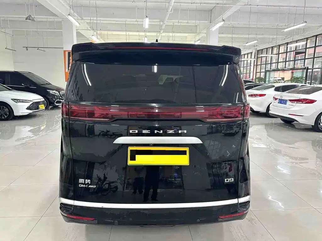 Denza Denza D9 — миниатюра 8