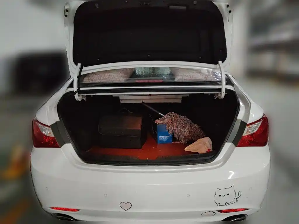 Hyundai Sonata — миниатюра 10
