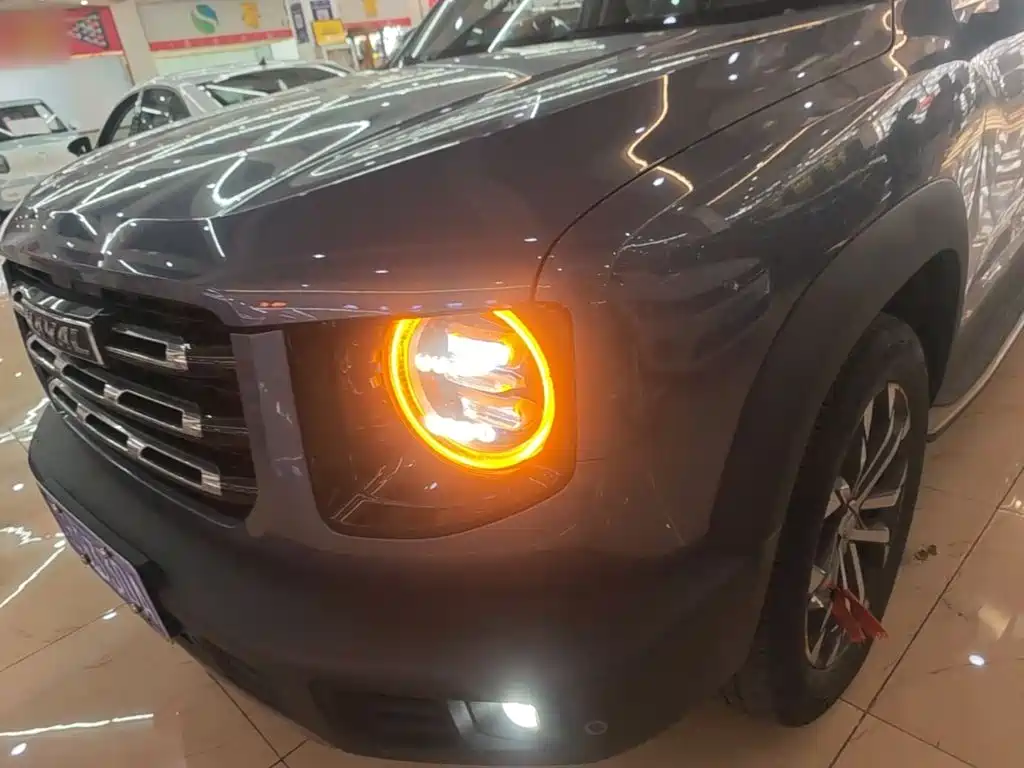 Haval Big Dog — миниатюра 24